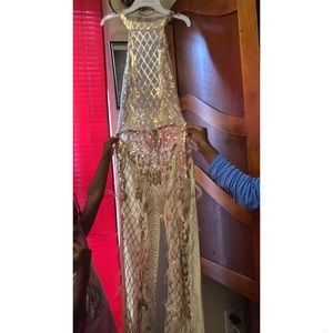 See Through Champagne Jumpsuit